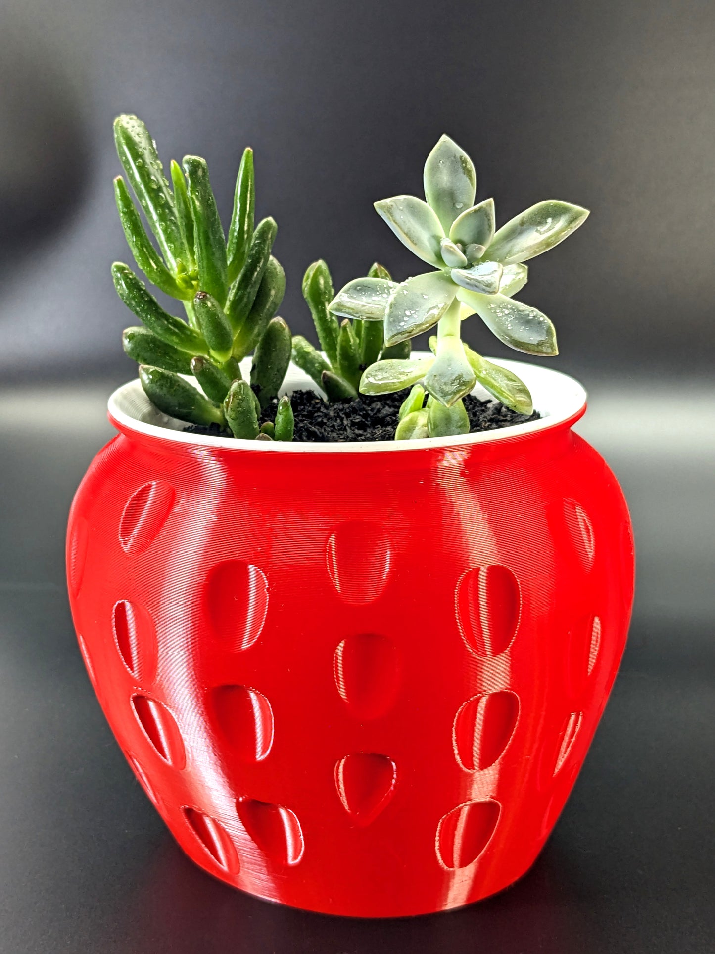 Strawberry Feels - Classic Red