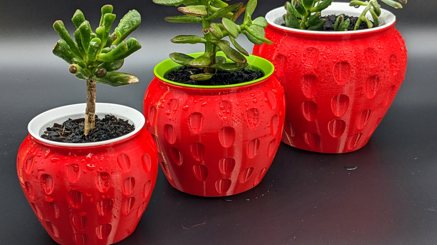 Strawberry Feels - Classic Red