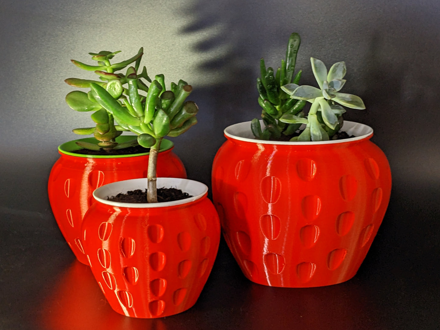 Strawberry Feels - Classic Red