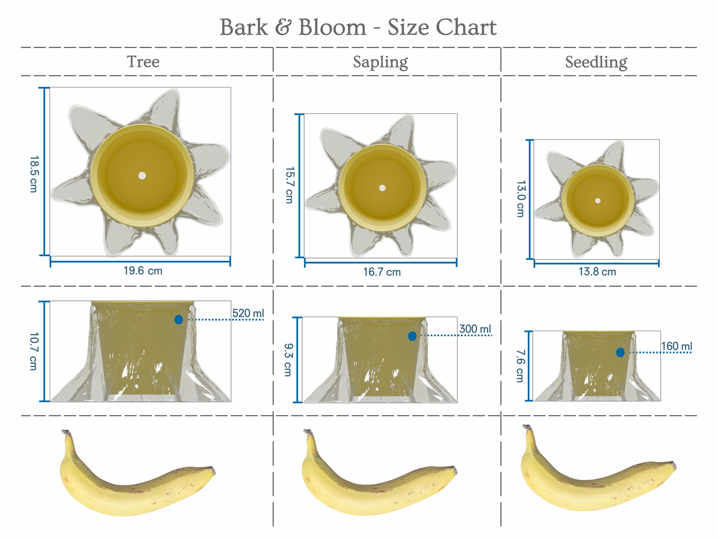 Bark & Bloom - Tangerine Tree