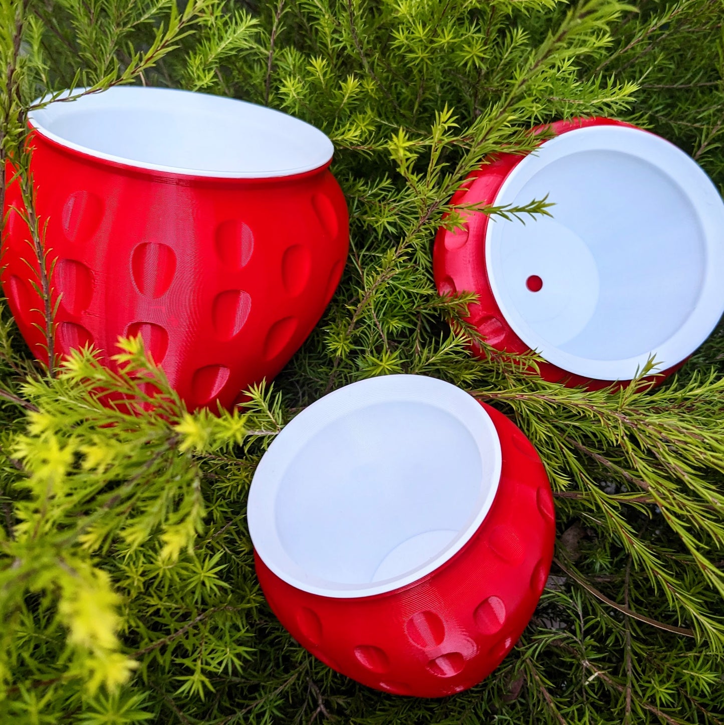 Strawberry Feels - Classic Red