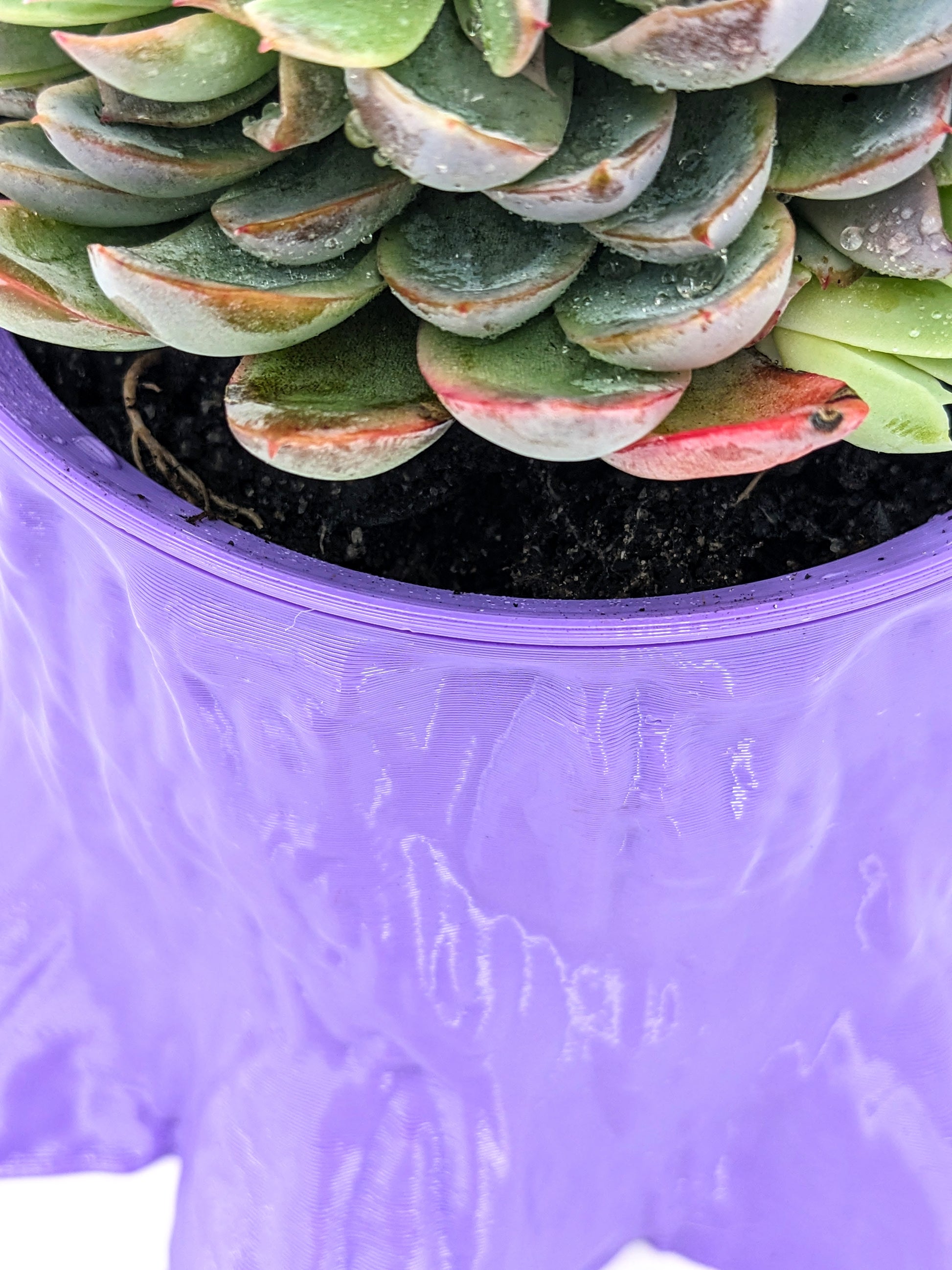 Planter purple recycled plastic close-up